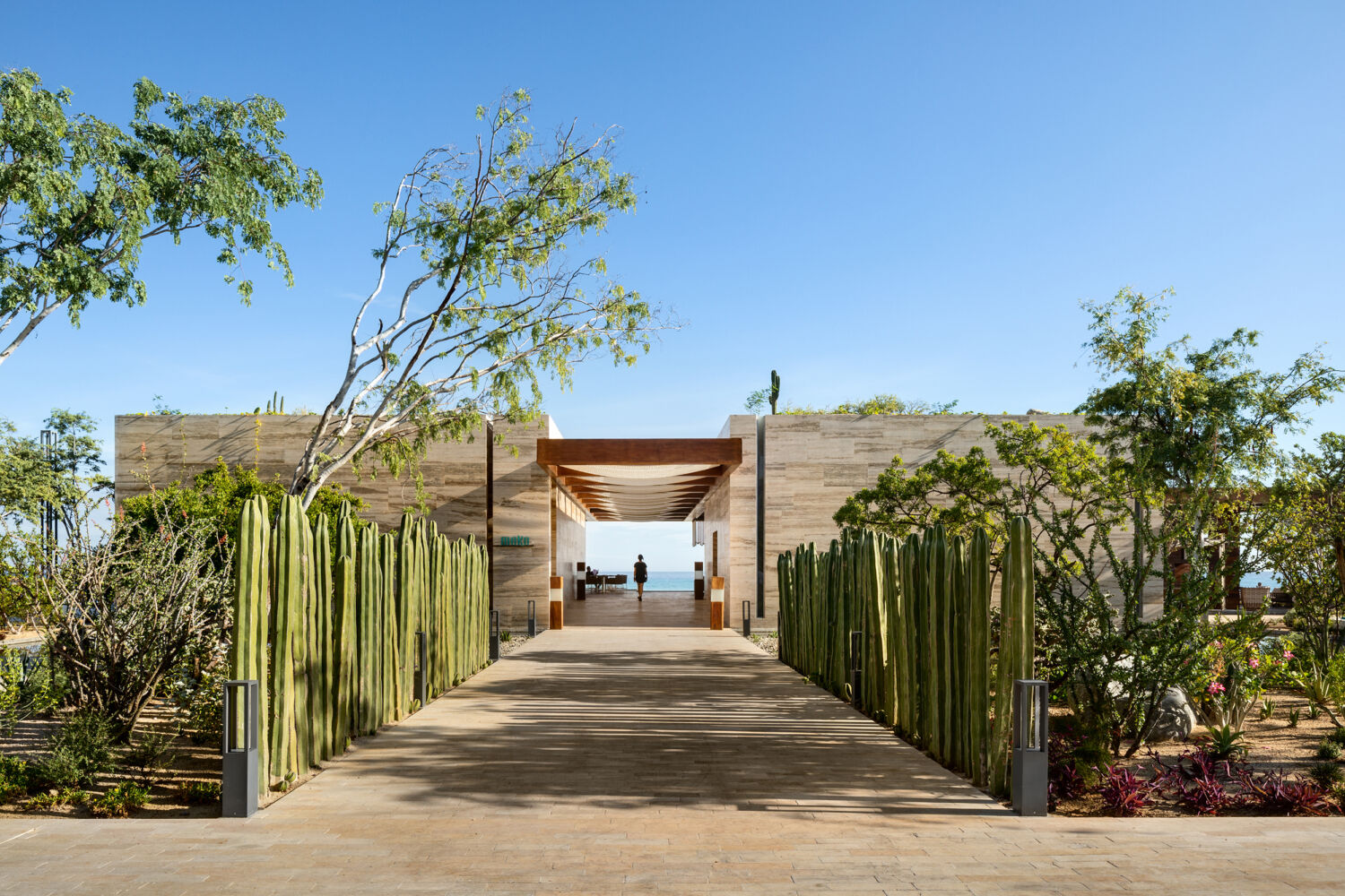 Landscaping Outdoor Spaces Hotel Solaz Los Cabos 04