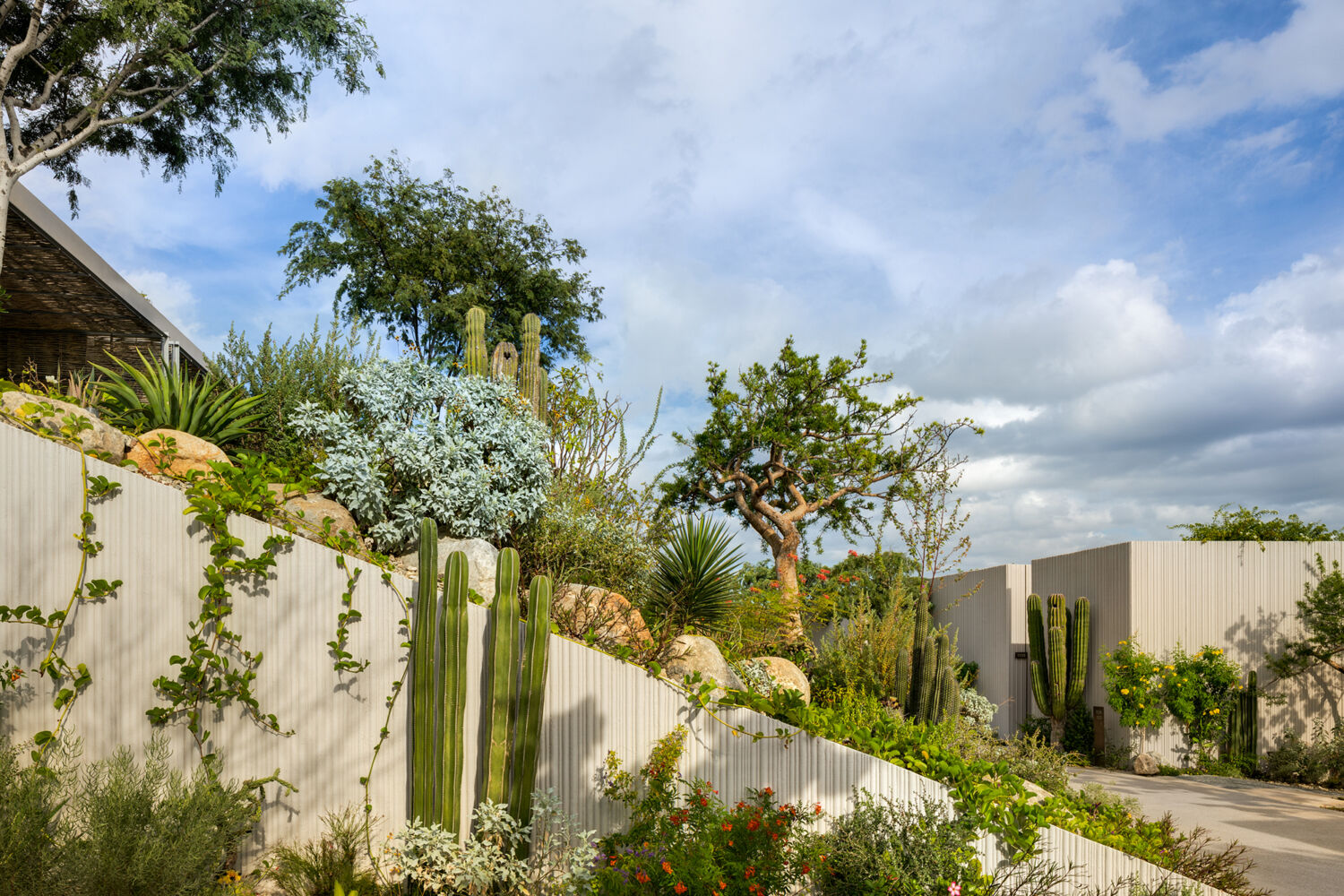 Landscaping Outdoor Spaces Hotel Solaz Los Cabos 08