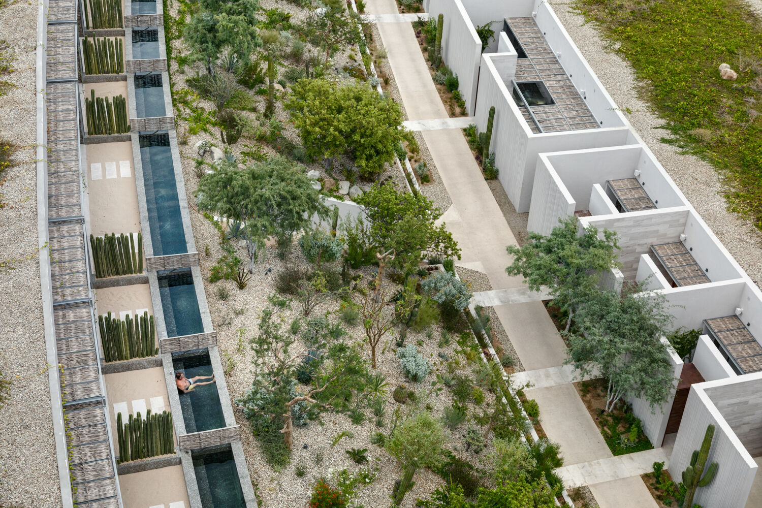 Landscaping Outdoor Spaces Hotel Solaz Los Cabos 09