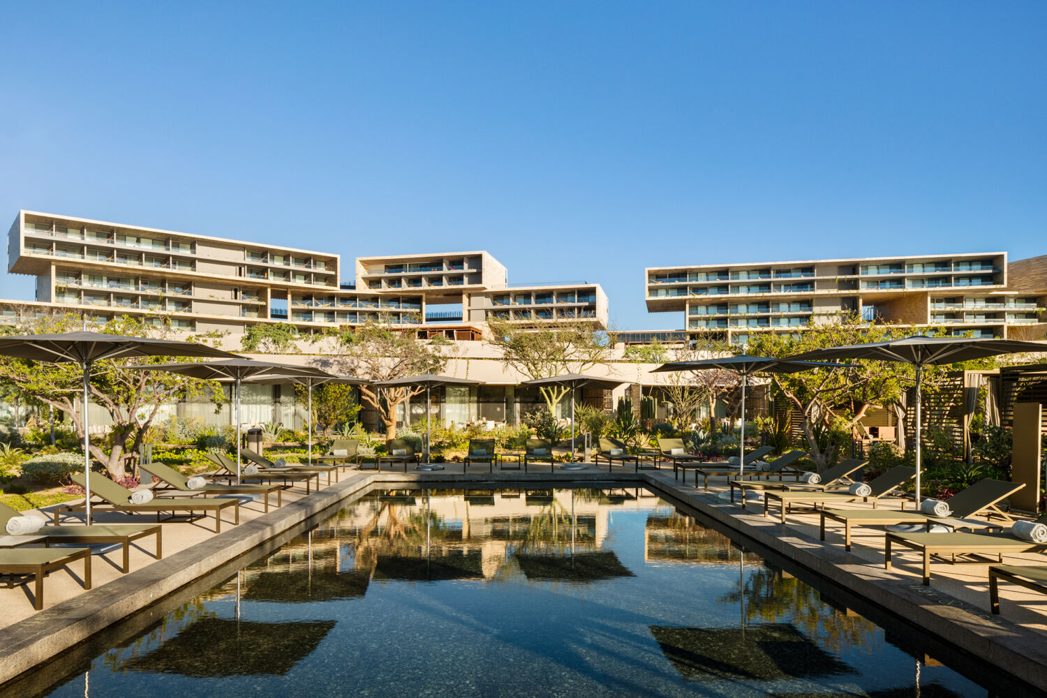 Landscaping Outdoor Spaces Hotel Solaz Los Cabos 10