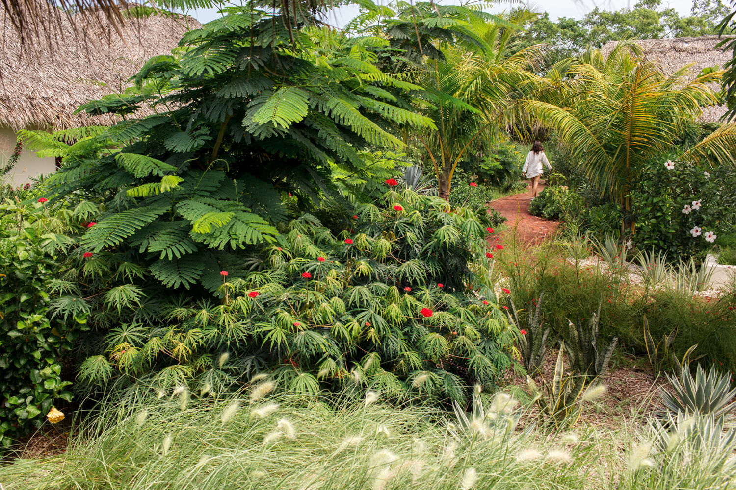Landscaping Meson Nadi 02