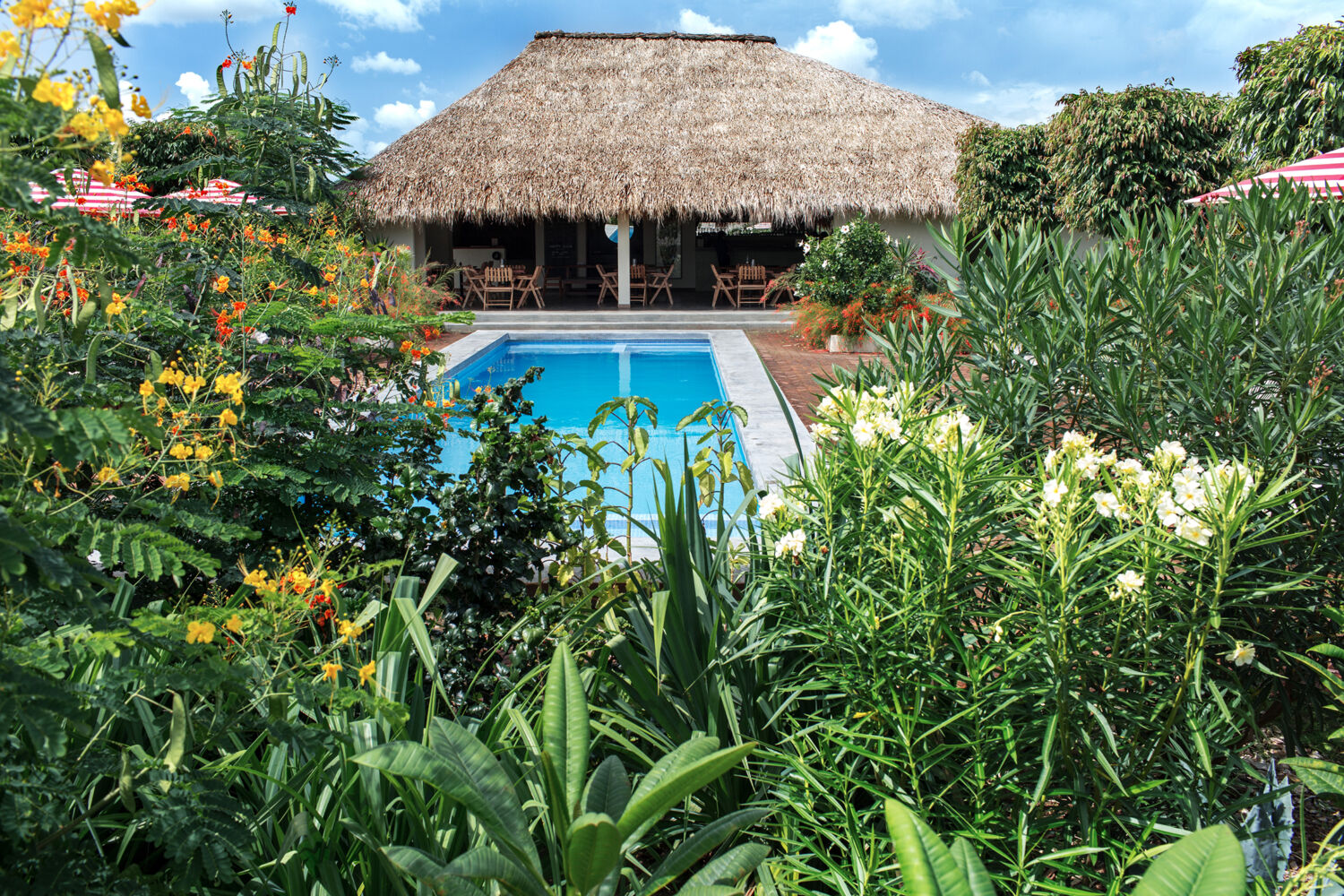 Resort Meson Nadi 05