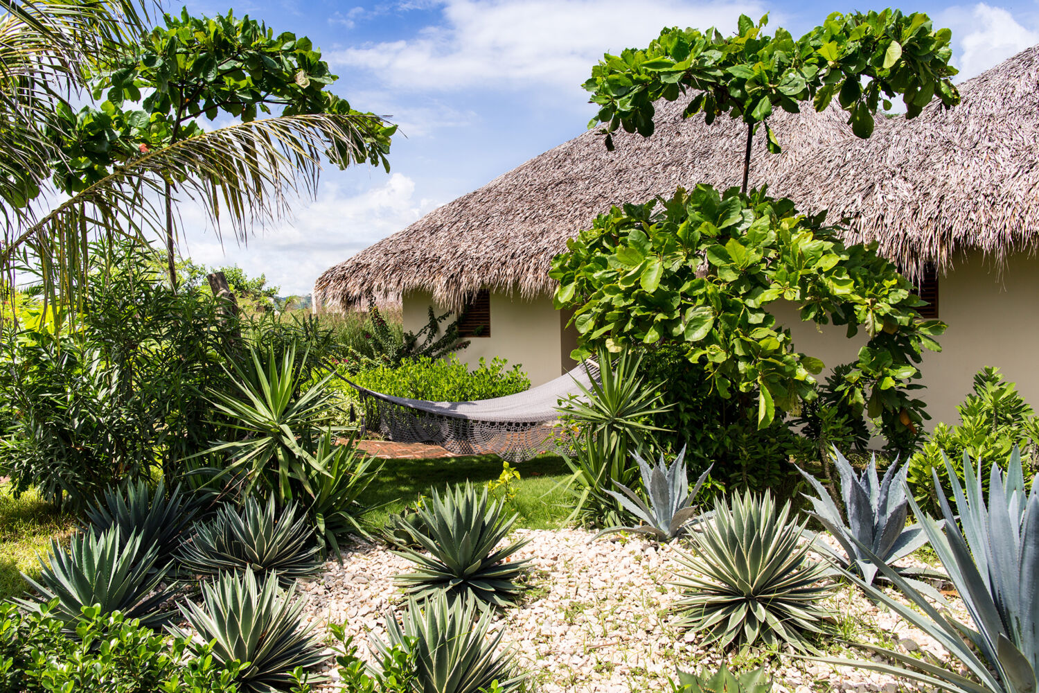 Resort Meson Nadi 07