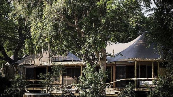 Little Mombo Camp, Okavango Delta, Botswana