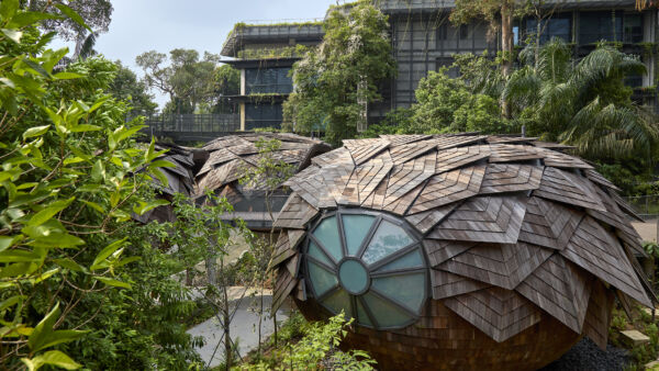 Mandai Rainforest Resort by Banyan Tree, Singapore