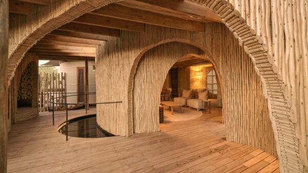 Mombo Sanctuary – Wilderness Mombo Camp, Okavango Delta, Botswana