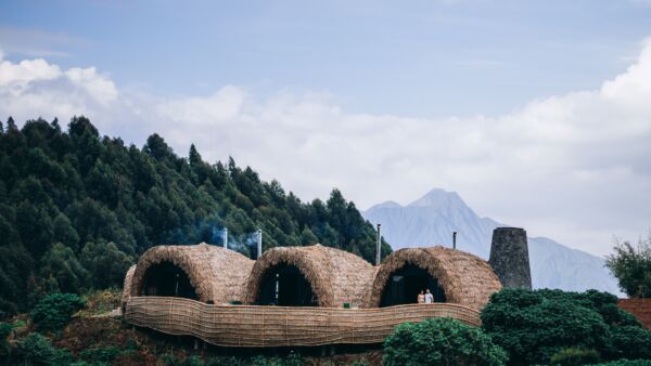 Wilderness Bisate Reserve, Volcanoes National Park, Rwanda