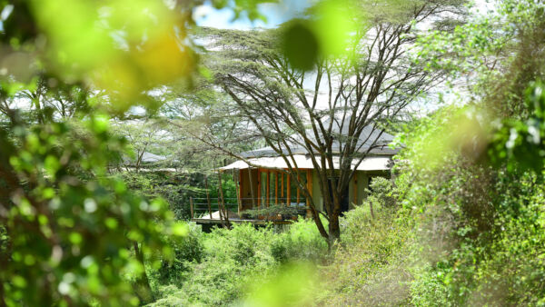 JW Marriott Masai Mara Lodge, Kenya